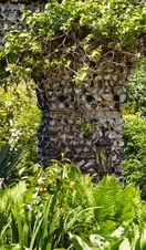 Tall plants in the gardens of Dorney Court, Windsor