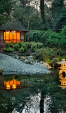 Lit up lanterns in a river at Pinetum Gardens in Cornwall