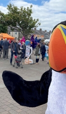 Amble Puffin Festival 