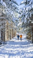 Glenmore Forest Park