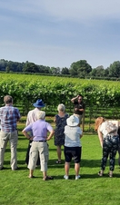 A tour group standing in a vineyard at Yorkshire Heart Vineyard