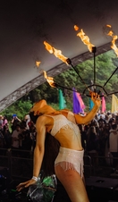 Woodland Disco Festival