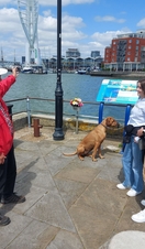 A group of people and a dog overlooking the ocean