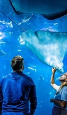 Spring-National Marine Aquarium