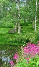 A pond surrounded by grass and flowers in Stone Lane Gardens, Exeter. 