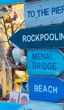 A shop window and a number of wooden signs.