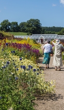 Helmsley Walled Garden 