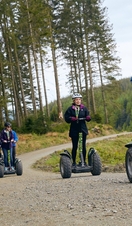 Go Ape Grizedale Forest