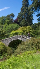 The Swiss Bridge at Dawyck Botanic Garden