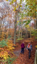 Queen Elizabeth Country Park