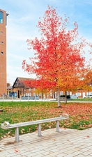 The exterior of the Royal Shakespeare Theatre in Stratford-upon-Avon.