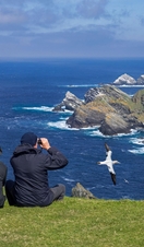 Birdwatchers watching gannets and great skua soaring past sea cliffs and stacks at seabird colony at Hermaness, Unst, Shetland Islands, Scotland, UK