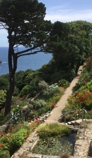 An overhead view of the Chygurno Gardens in Cornwall