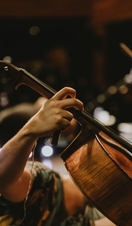 People Playing Guitar At Music Concert