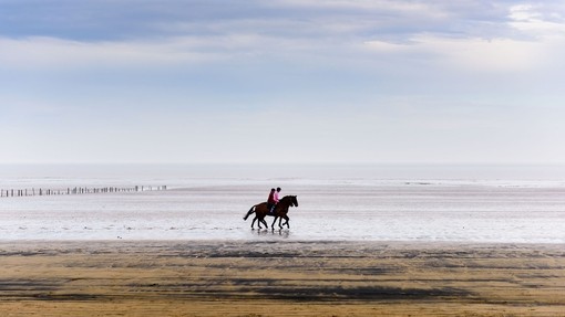 Two people riding a horse in the sea