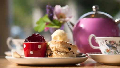 Traditional cream tea on a table with scones, jam and cream
