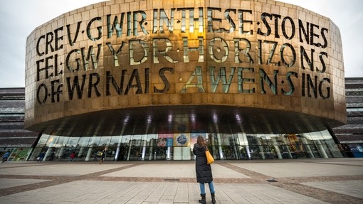 Person looking up at the front of a bronze building