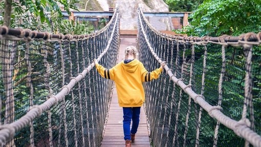 Eden Project