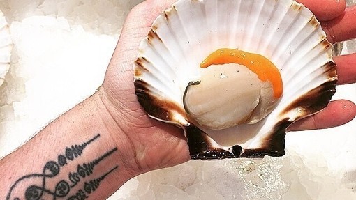 Rye scallops