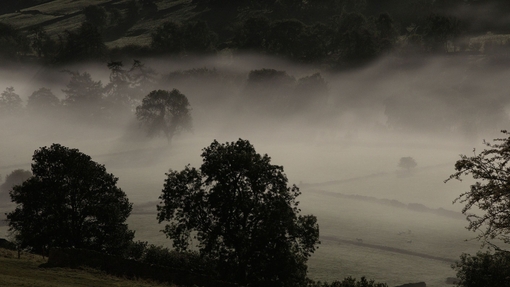 Low mist across fields in the countryside.