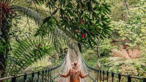 Young woman walking across a rope bridge surrounded by trees