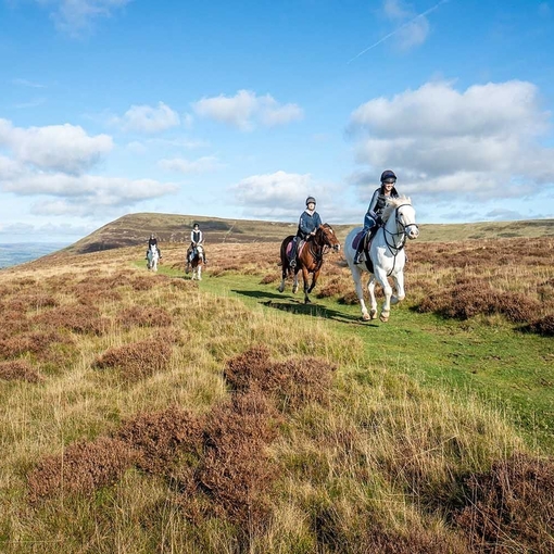 A group of horse riders on a hill overlooking farmland.