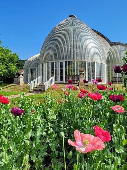 Bicton Park Botanical Gardens
