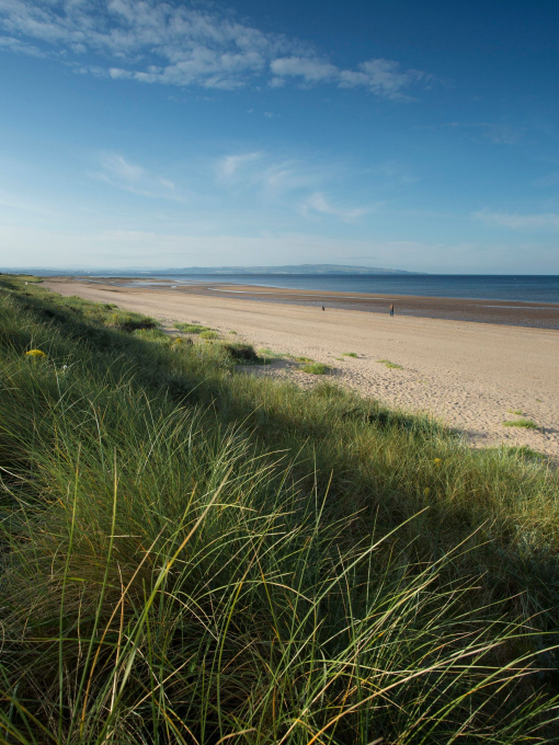 A long sandy beach framed by grassy dunes, with a dog walker in the distance.