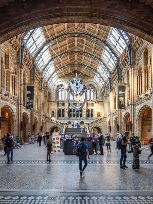 Interior del Museo de Historia Natural de Londres