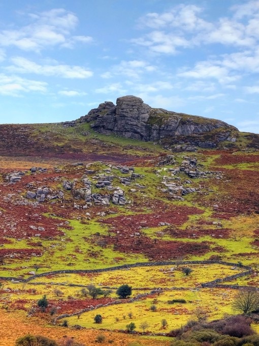A rocky outcrop on a hill in a national park
