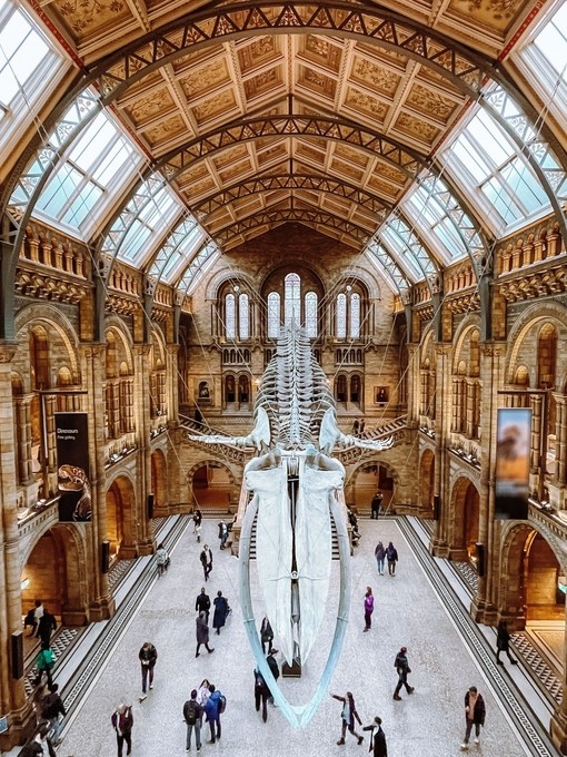 Looking down from a balcony in a museum onto a floating dinosaur skeleton that is suspended from the ceiling.
