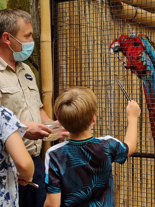 Man and children feeding a parrot in a cage