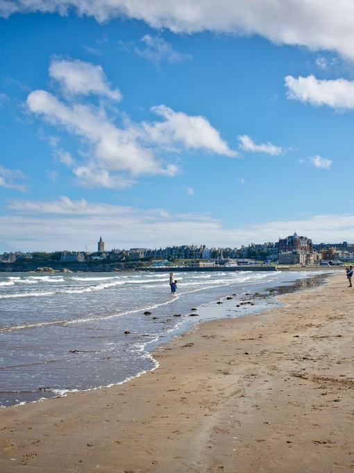 St Andrews West Sands