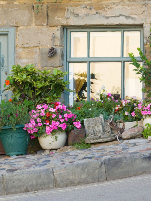 A cottage on a hill with plants in pots outside door