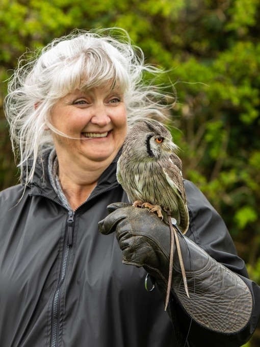 Walks With Hawks