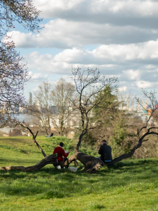 People in a park sitting on a fallen tree branch overlooking a park with city and river views.