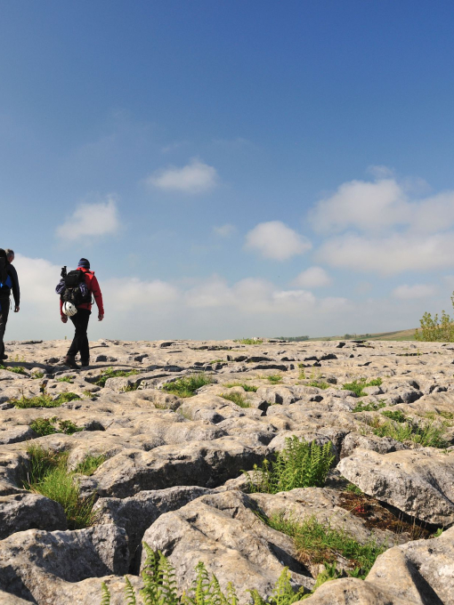 People walking on the limestone pavement above the cliffs