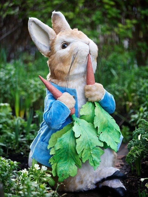 Peter Rabbit 2013 credit photograper Steve Barber
