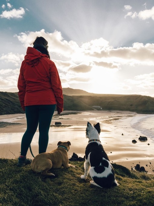 A woman and two dogs overlooking a sandy beach and the ocean.