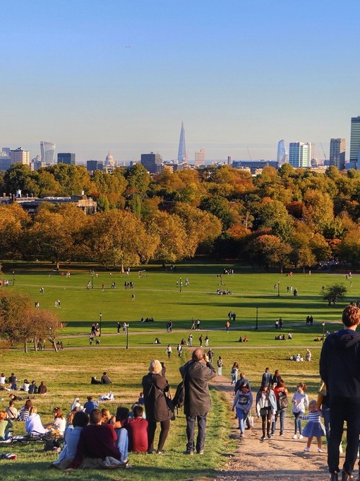 Sunny autumn view over Primrose Hill and London skyline in the background