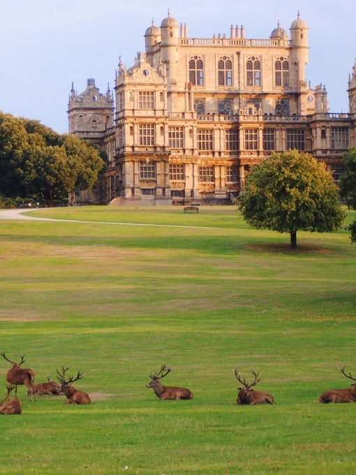 Un grupo de ciervos tumbados sobre la hierba en Wollaton Park, una extensión de campo y jardines que rodea Wollaton Hall