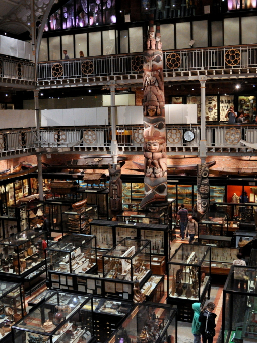 An overhead view of the exhibits and displays at the Pitt Rivers Museum in Oxford