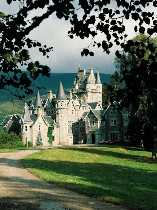 A pathway leading to a fairytale castle, surrounded by manicured lawns and framed by foliage.