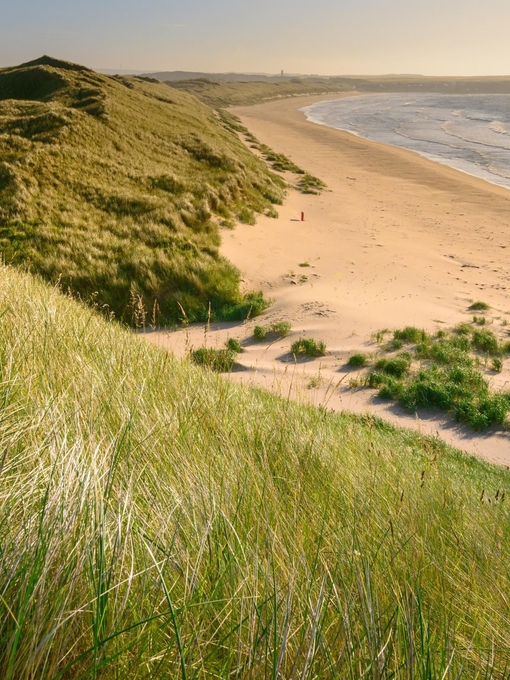 Green hills rolling onto a sandy beach with the ocean visible to the right.