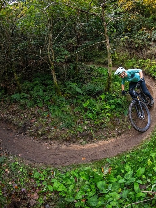 A cyclist riding through trees along a purpose built adventure cycle path in a large forest.