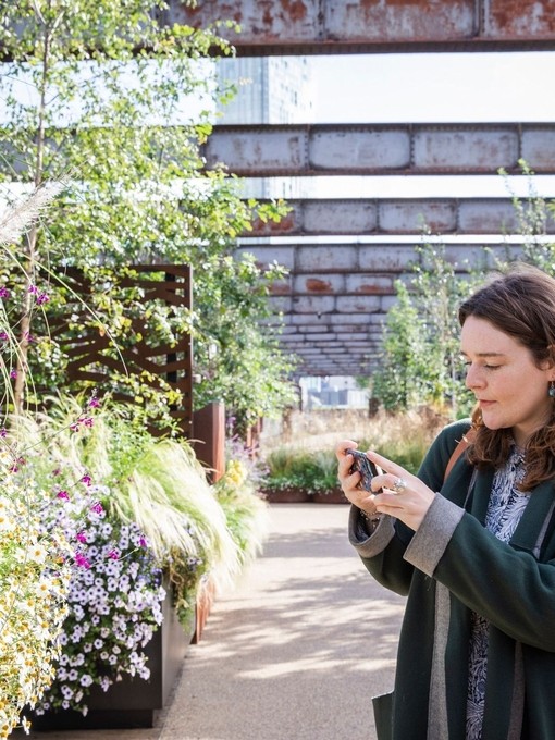 A woman taking a picture of plants and flowers in the gardens of Castlefield Viaduct, Manchester