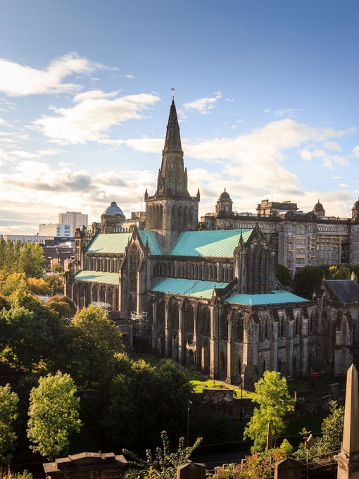 Aerial view of a cathedral on a sunny day with trees surrounding it