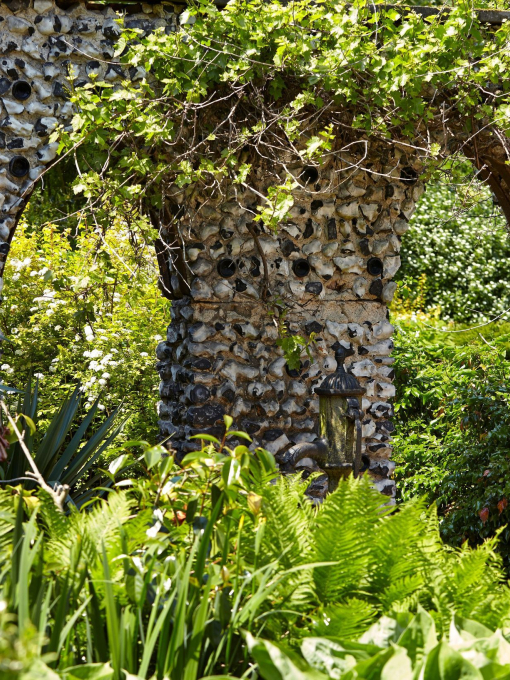 Tall plants in the gardens of Dorney Court, Windsor