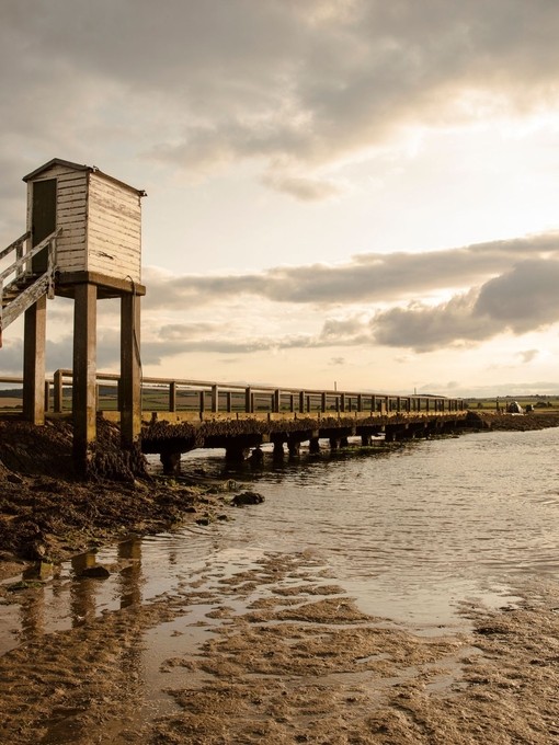 Two people by an elevated causeway at low tide