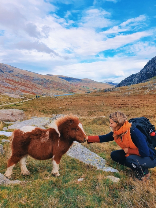 Frau, die im Gras hockt und ein kleines Pony streichelt